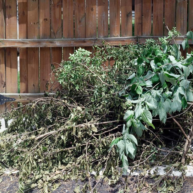 Storm Recovery Services in Waynesville, NC Storm Recovery Services in Waynesville, NC